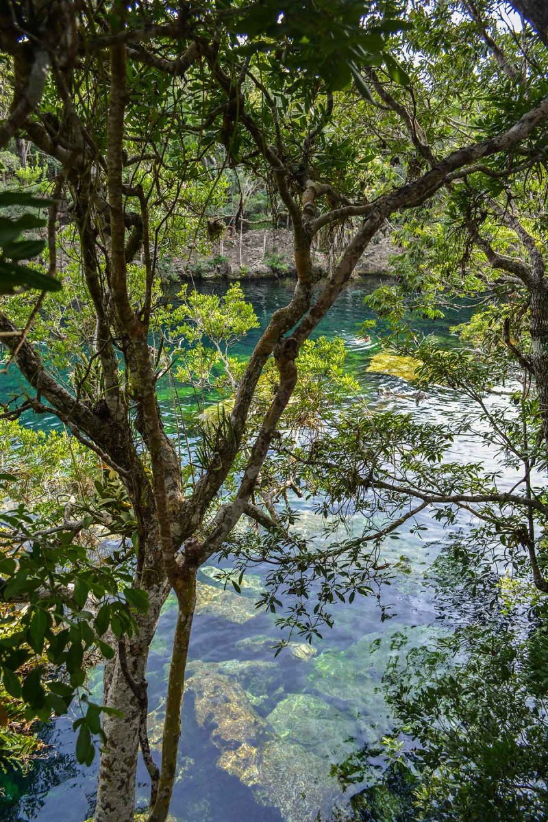 Півострів Юкатан, у пошуках Майя – Cеноти Eden, Cristalino, Azul (частина 4)